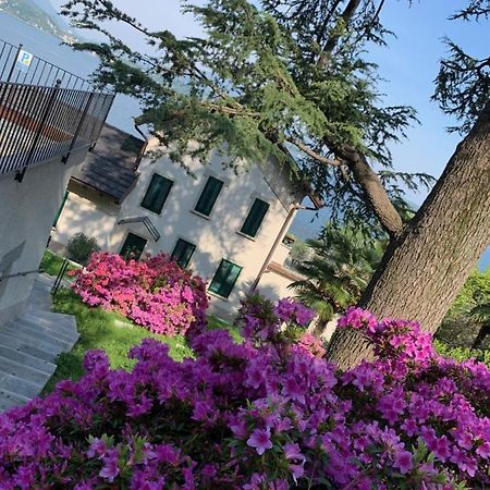 Apartmán Giardini Magnolia Belgirate Exteriér fotografie