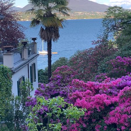 Apartmán Giardini Magnolia Belgirate Exteriér fotografie