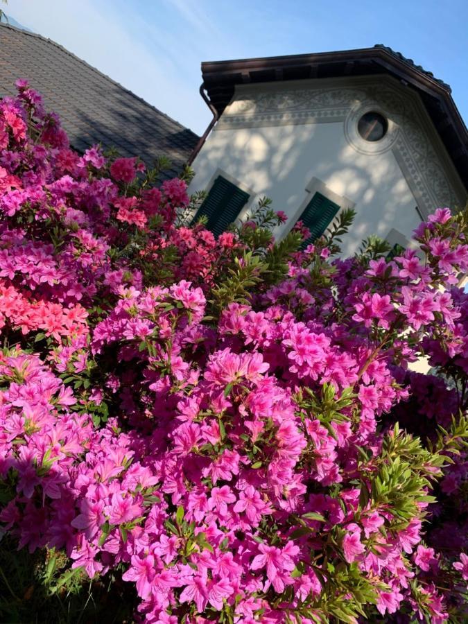Apartmán Giardini Magnolia Belgirate Exteriér fotografie