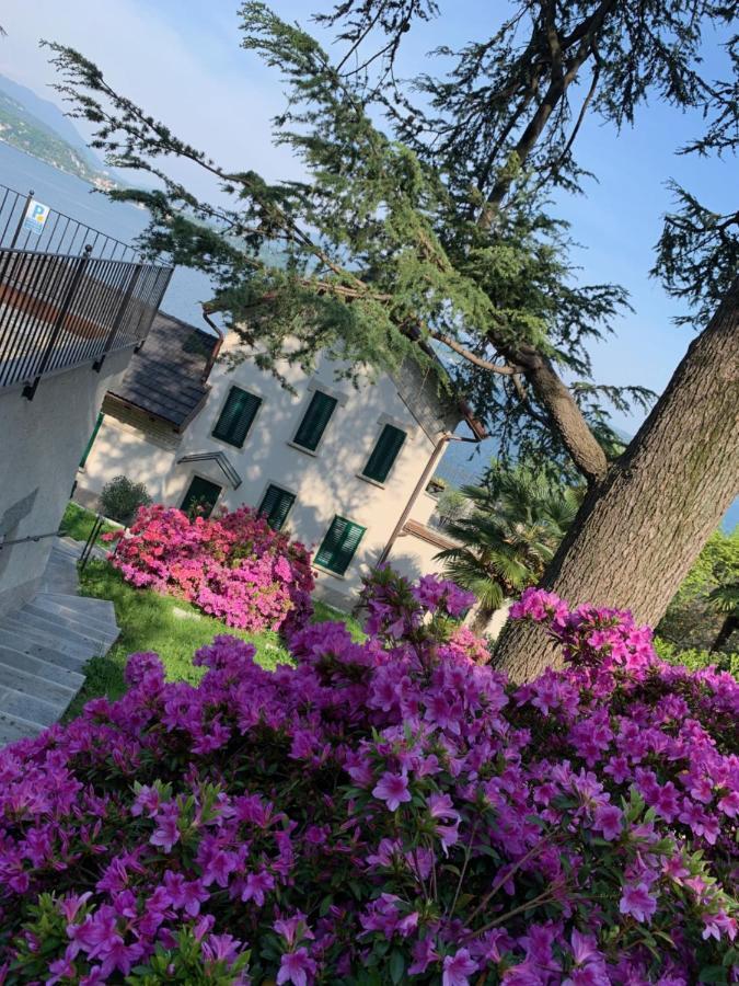 Apartmán Giardini Magnolia Belgirate Exteriér fotografie