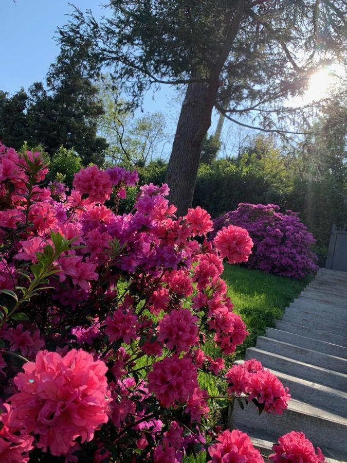 Apartmán Giardini Magnolia Belgirate Exteriér fotografie