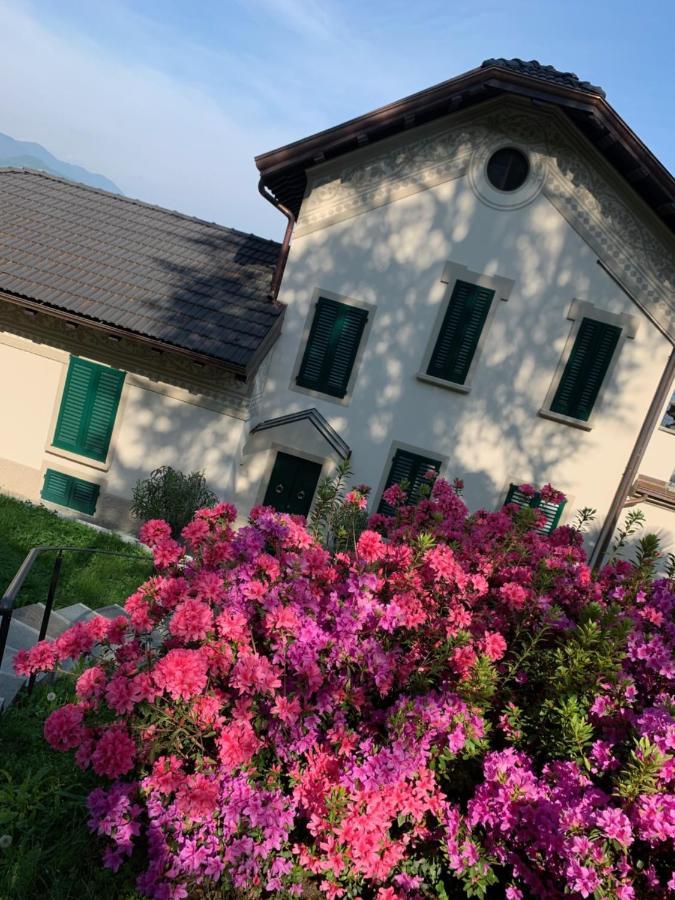 Apartmán Giardini Magnolia Belgirate Exteriér fotografie