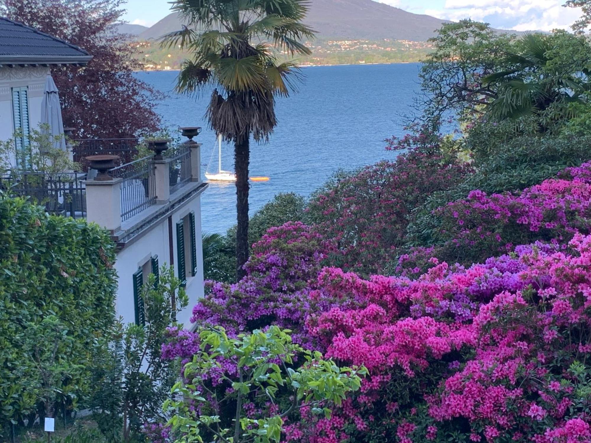 Apartmán Giardini Magnolia Belgirate Exteriér fotografie